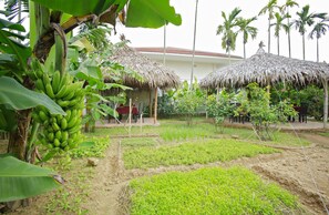 Vista da propriedade