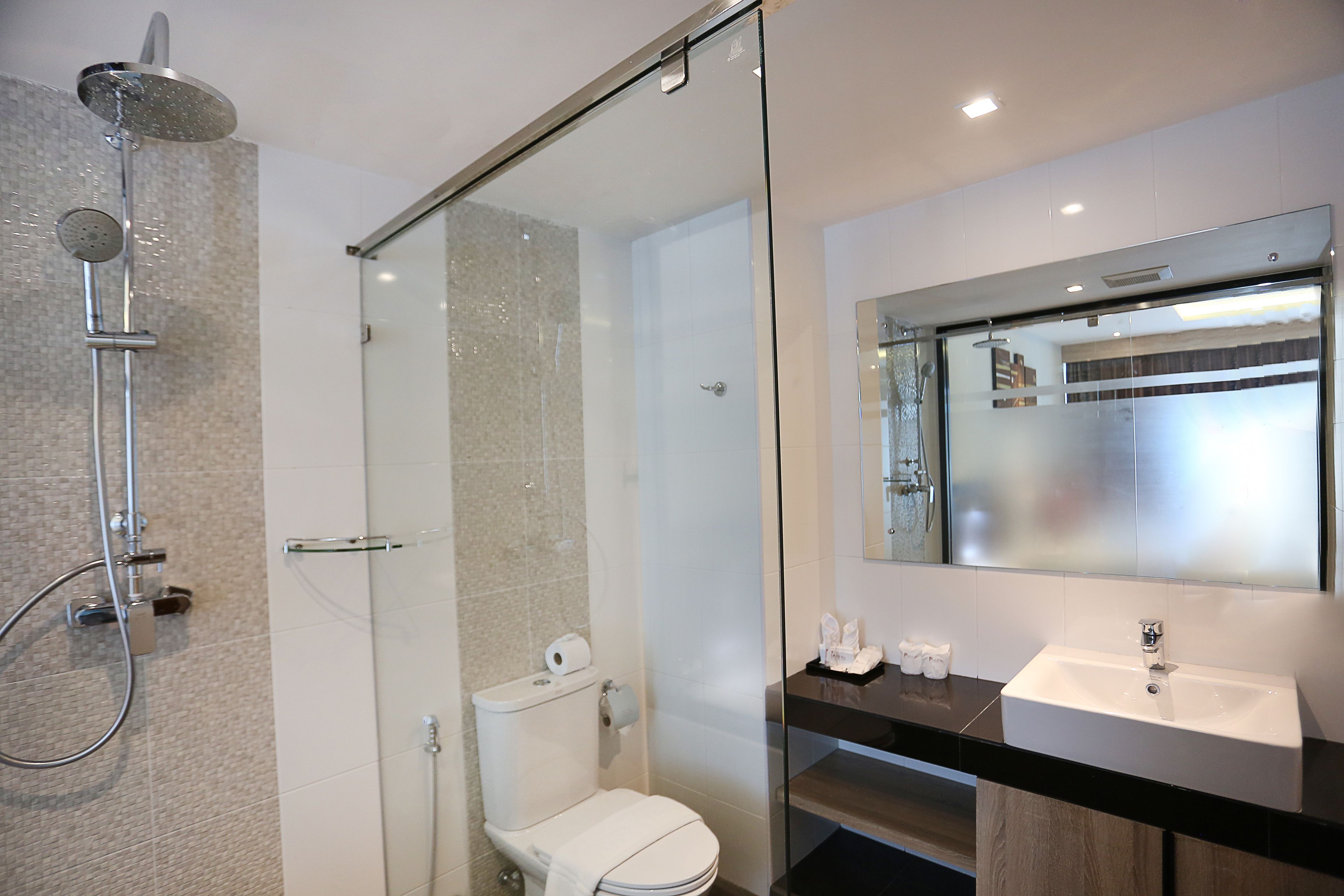 A modern bathroom with a glass-enclosed shower, a toilet, and a sink with a mirror above it.