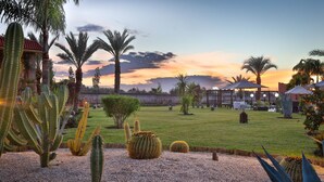 Un jardín con diversos cactus y palmeras, un césped y un edificio con techo rojo al fondo.