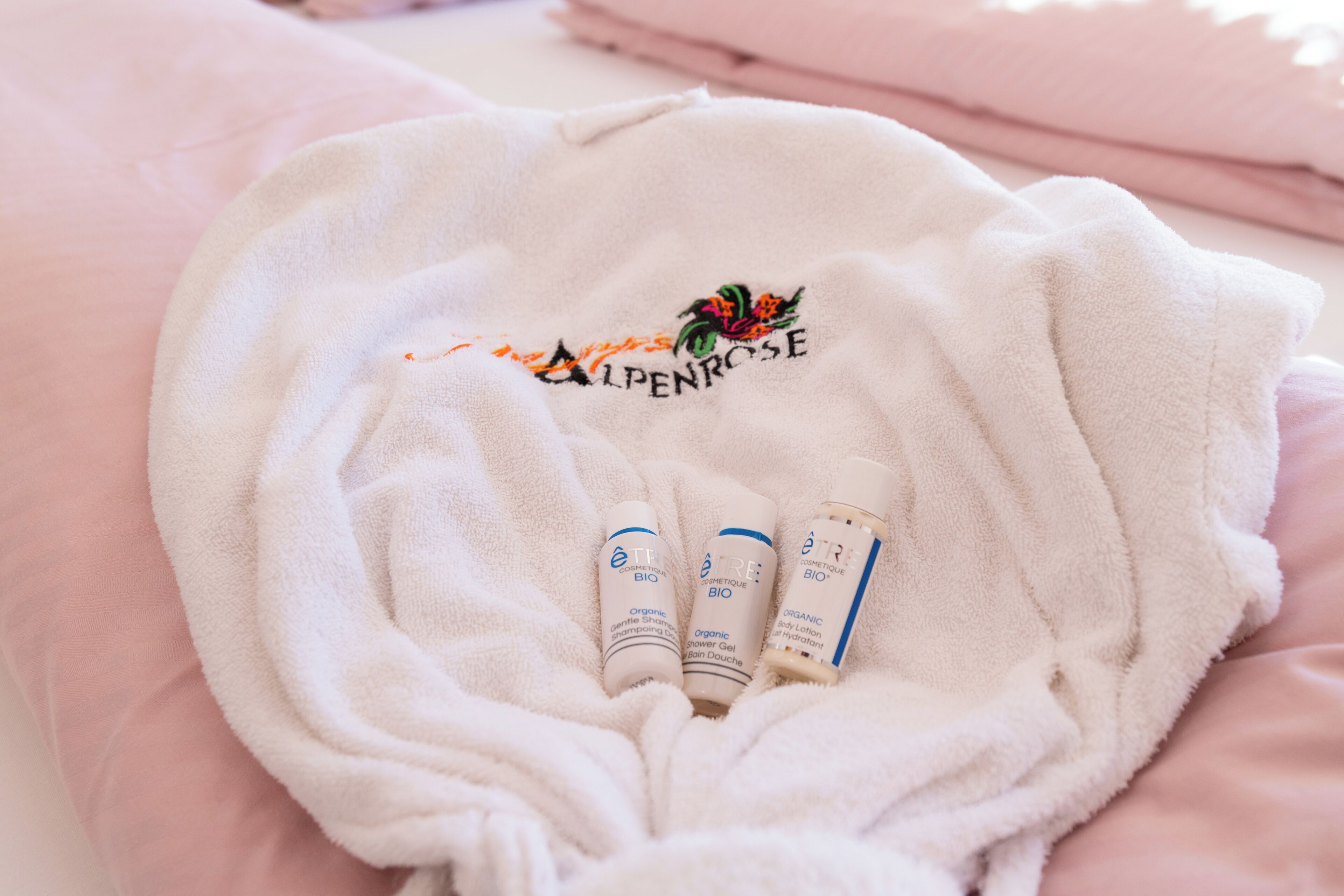 basic double room, mountain view | 1 bedroom, desk, laptop workspace, iron/ironing board