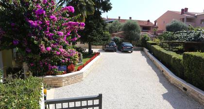 Apartments Davorka