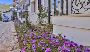 A row of white buildings with balconies, a stone pathway, and purple flowers along the side.