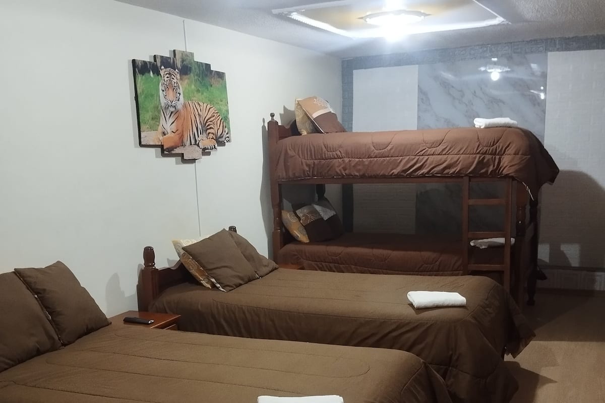 Una habitación con dos literas, un cuadro de un tigre y una lámpara en el techo.