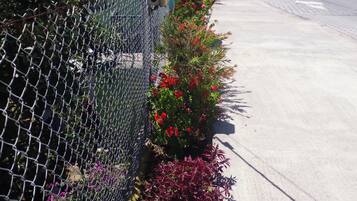 Vista desde la propiedad