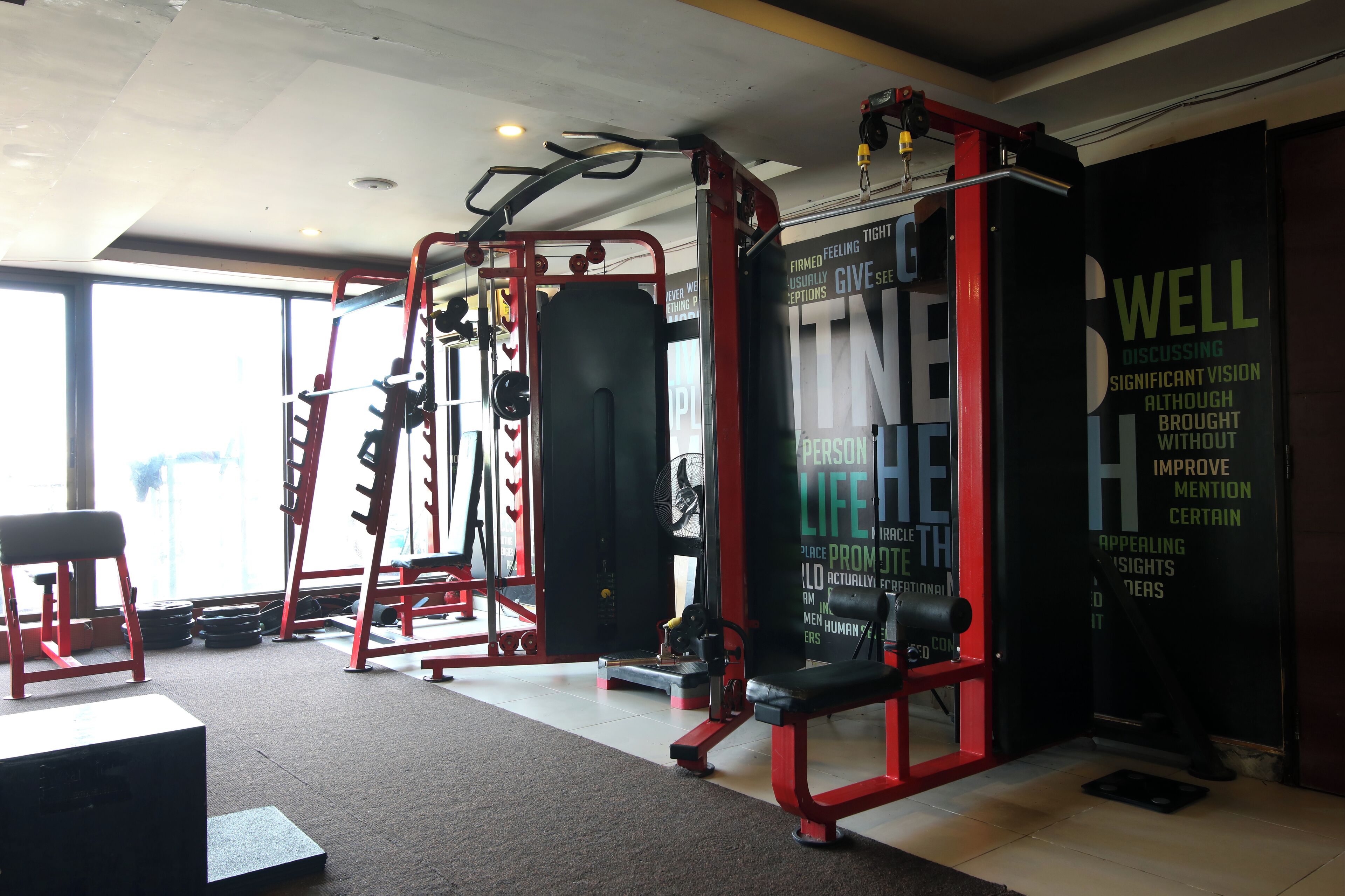 Un gimnasio con varios equipos de ejercicio, incluyendo un rack de sentadillas y bancos de pesas.