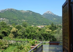 A balcony with a view of a mountainous landscape and a village below. - Villa Elisa (Agerola)