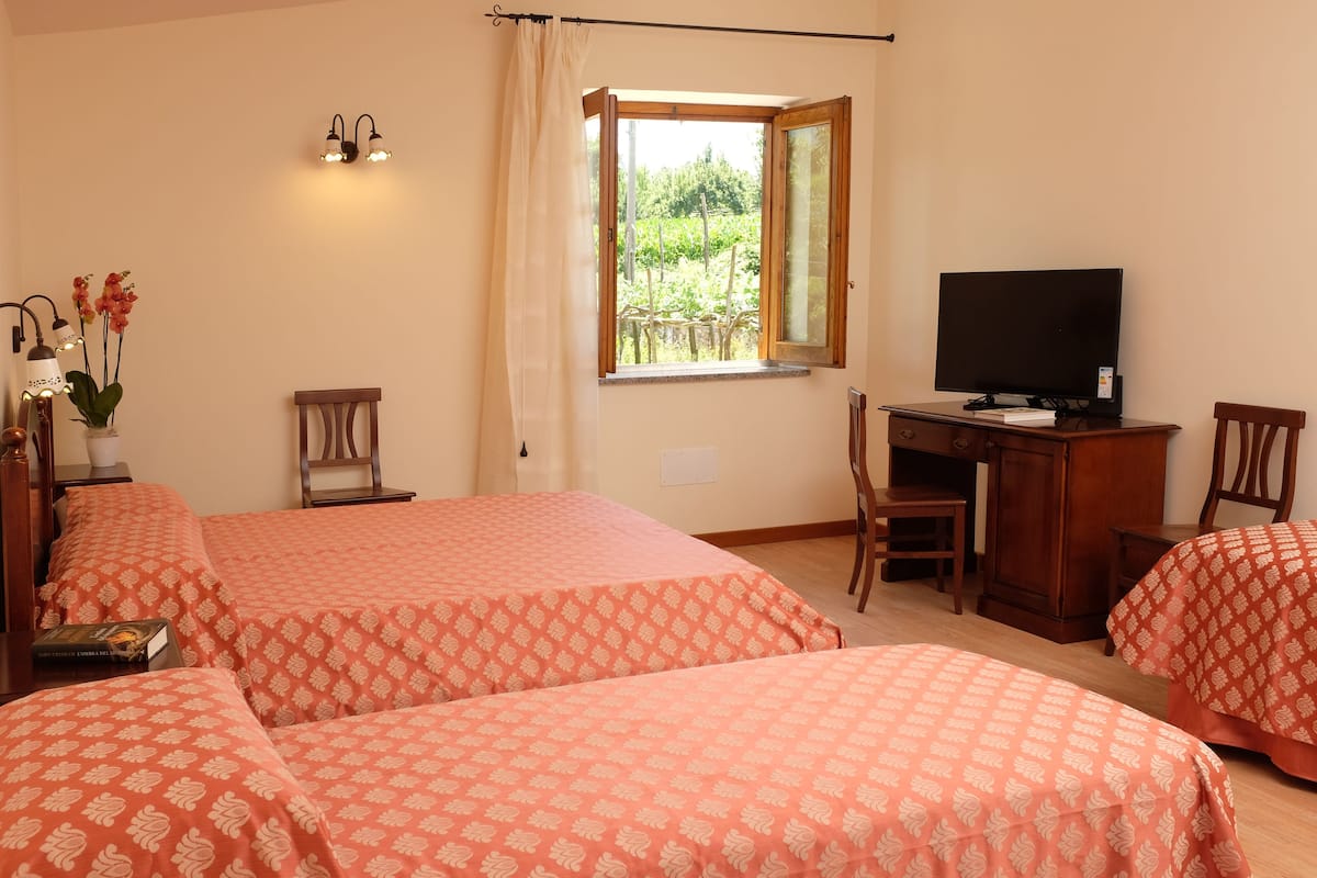 A hotel room with two beds, a desk with a TV, a chair, and a window with a view of greenery.