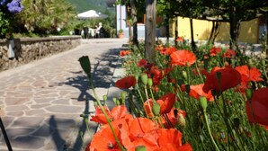 A stone pathway lined with vibrant red poppies, leading to a building with a yellow facade. - Villa Elisa (Agerola)