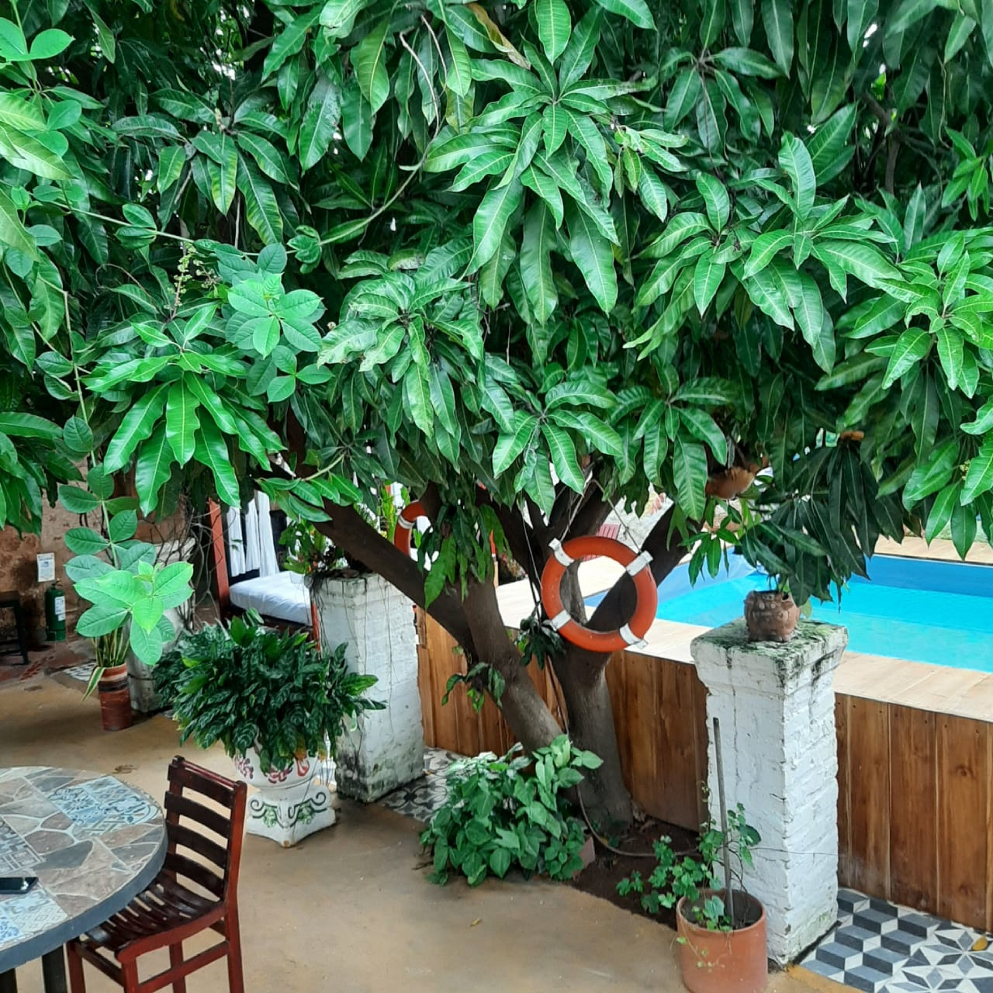 Foto - Casa de Los Santos Reyes Hotel Boutique Valledupar