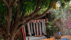 A person lying on a wooden deck by a pool with a tree and a clothesline in the background. - Casa de Los Santos Reyes Hotel Boutique Valledupar (Valledupar)