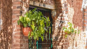 Um edifício de tijolos com uma janela, um vaso de planta e um brasão.