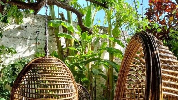 Wicker hanging chairs in a garden setting with a stone wall and greenery in the background. - Casa de Los Santos Reyes Hotel Boutique Valledupar (Valledupar)