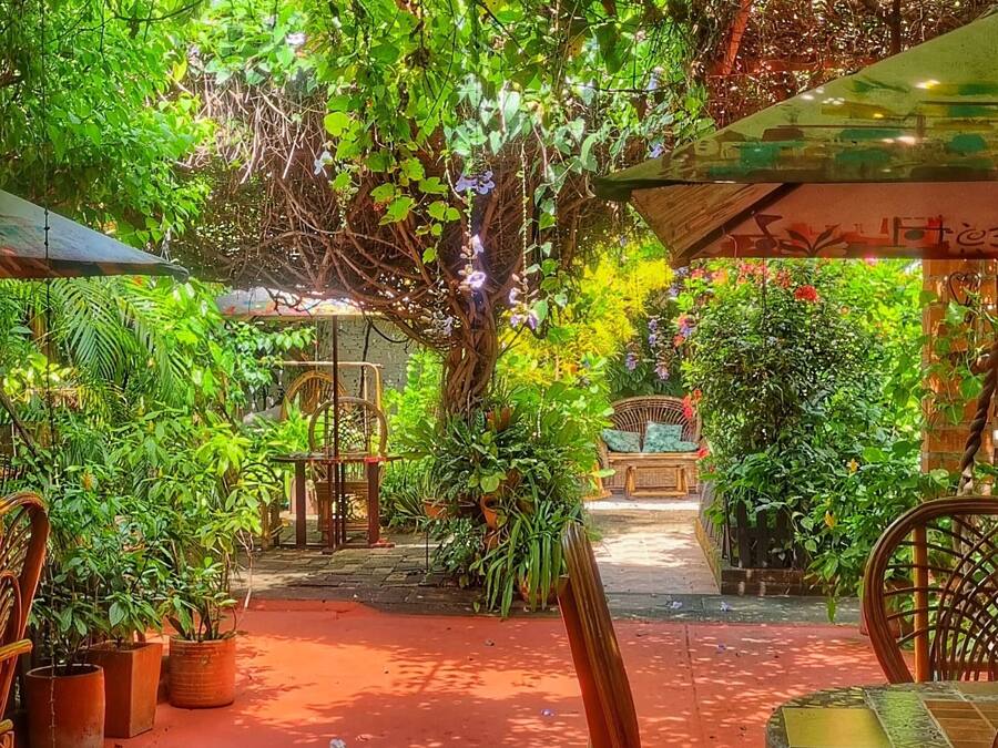 Khuôn viên nơi lưu trú