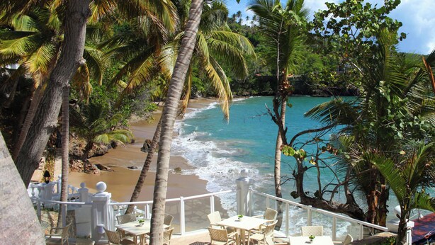 Un restaurant situé en bord de mer, avec une terrasse offrant une vue sur l’océan, les palmiers et une clôture blanche.