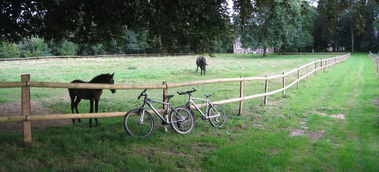 A fenced area with a horse and two bicycles.