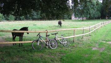 A fenced area with a horse and two bicycles.