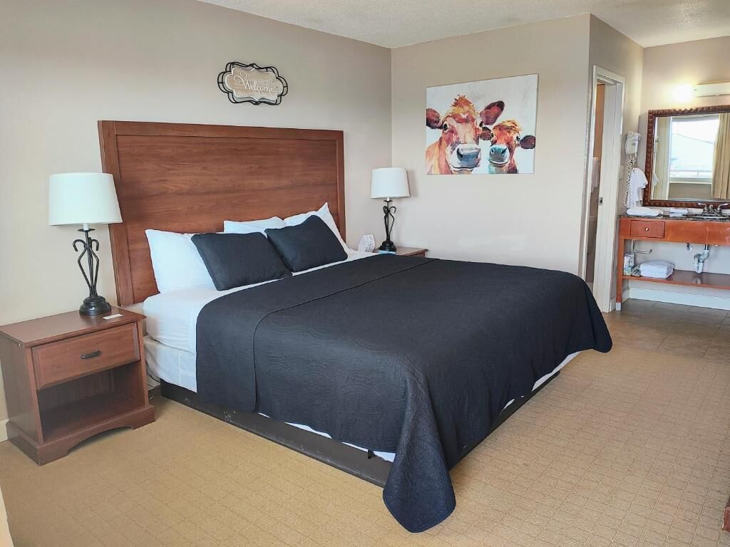 Economy Room, 1 King Bed | Premium bedding, blackout drapes, WiFi (free), bed sheets
