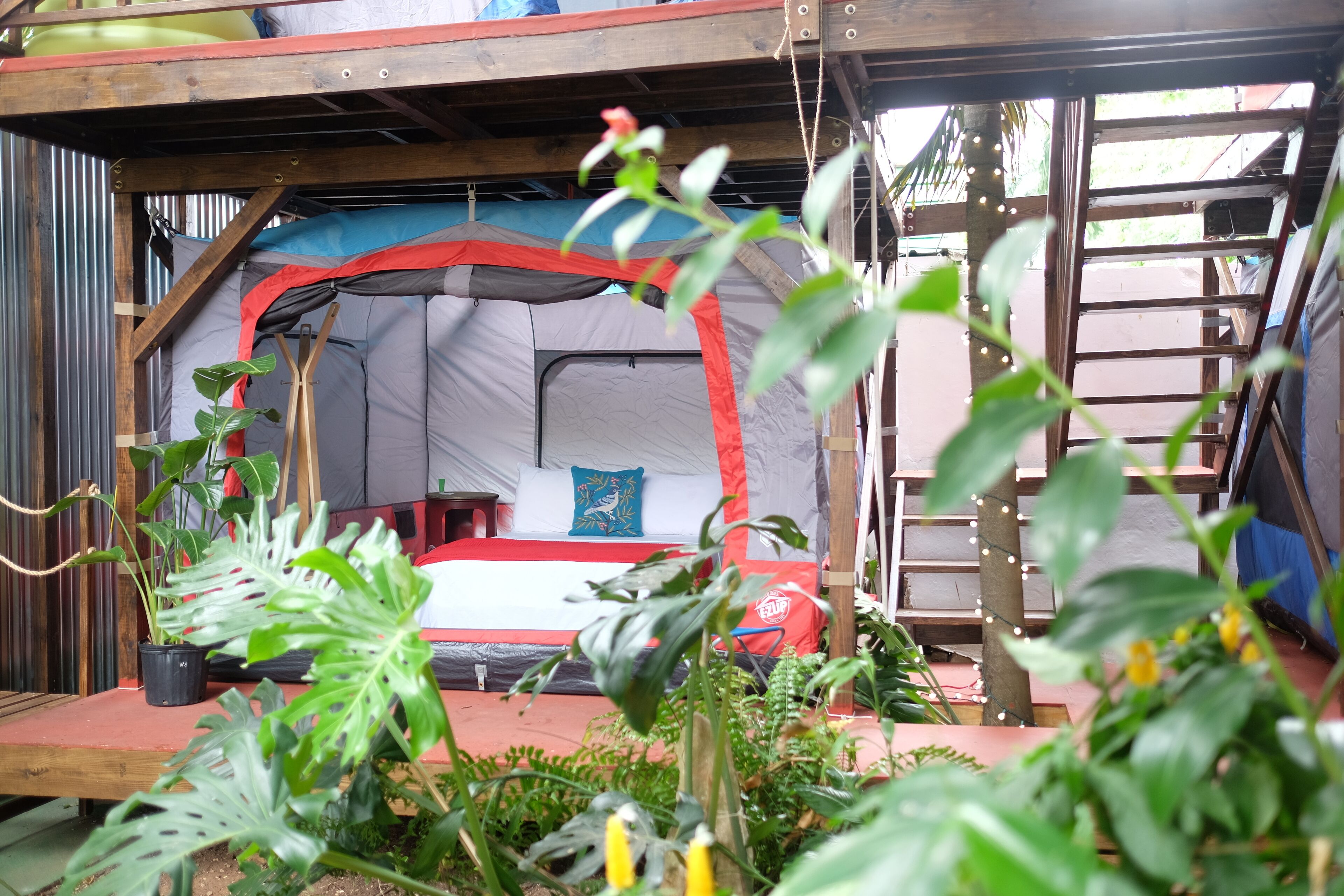 Photo - Panama House Bed & Breakfast