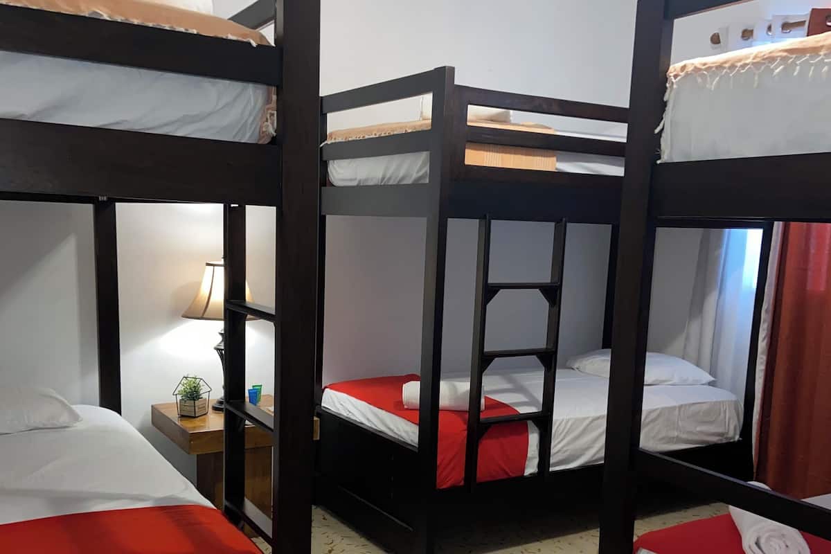 Een kamer met stapelbedden, een nachtkastje met een lamp en een kleine plant.