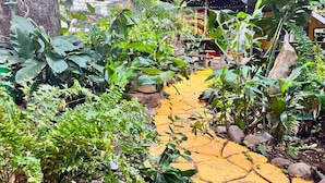 Un sendero en un jardín con diversas plantas y un camino de ladrillo amarillo.