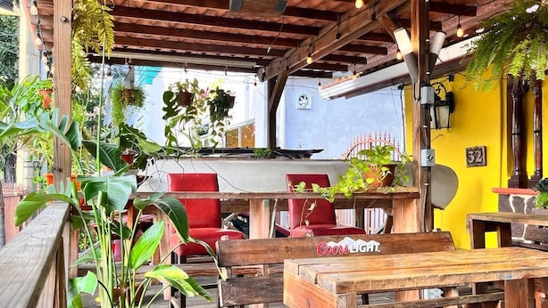 Un espacio al aire libre con mesas y sillas de madera, rodeado de plantas en macetas y un muro amarillo.
