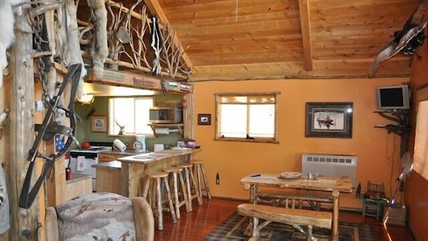 Cabin, 2 Bedrooms, Kitchen, Mountain View | Living area | Flat-screen TV, DVD player - Trappers Cabin (Hot Springs)