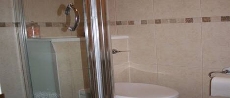 Une salle de bain avec une douche à parois de verre, des toilettes blanches et un porte-serviettes.