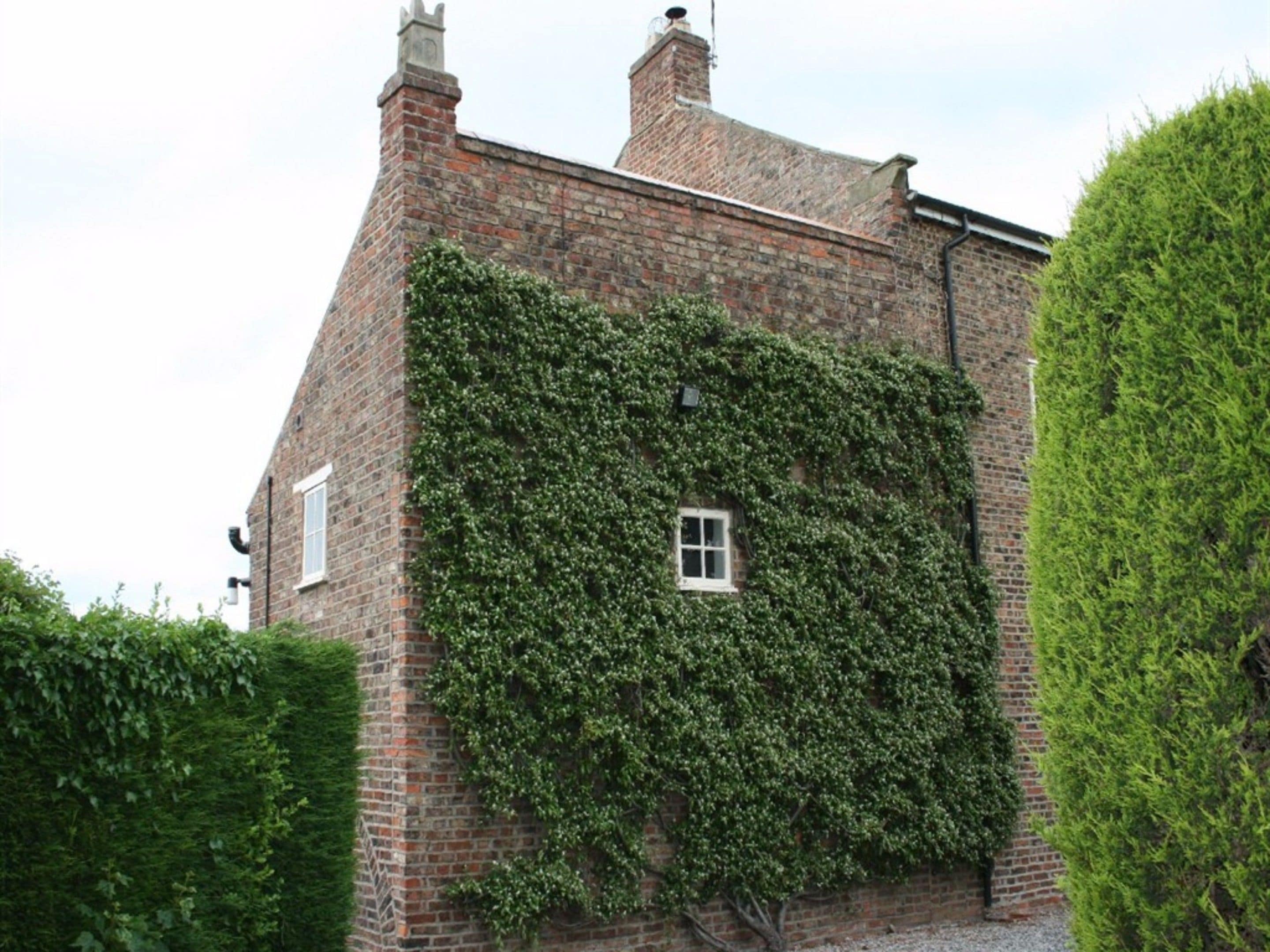 Foto - The Manor Guest House