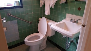 A bathroom with a white toilet, green tiled walls, a sink, and a handrail. - The Happy Hollow (Hot Springs)