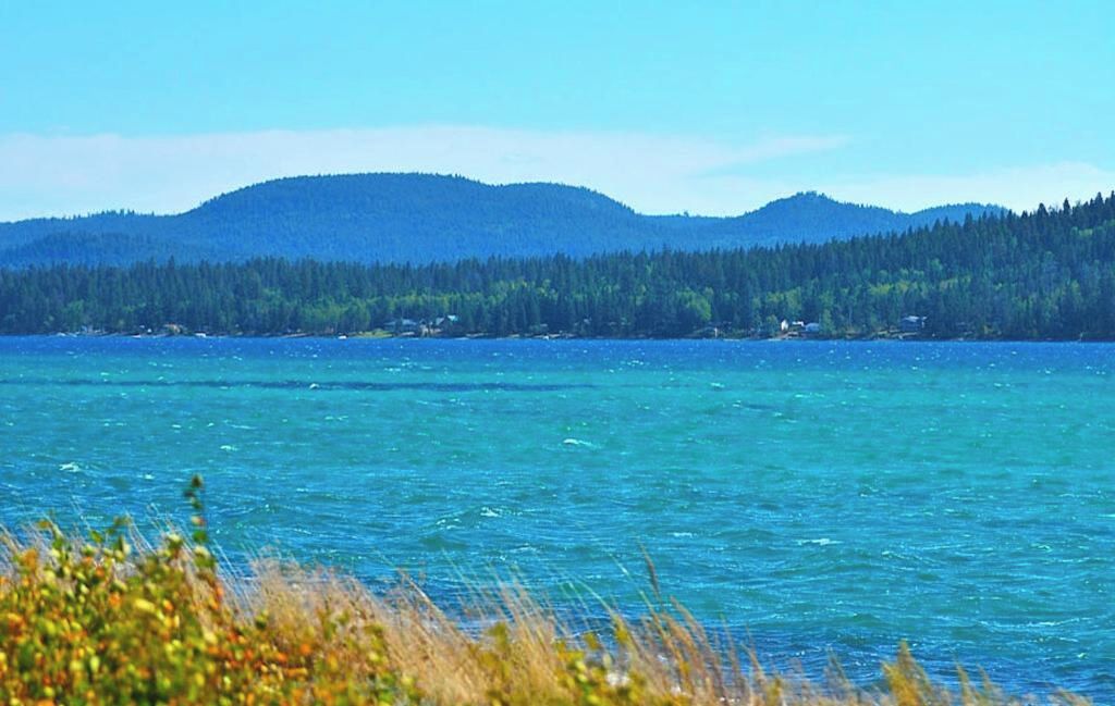A body of water with a forested hill in the background.