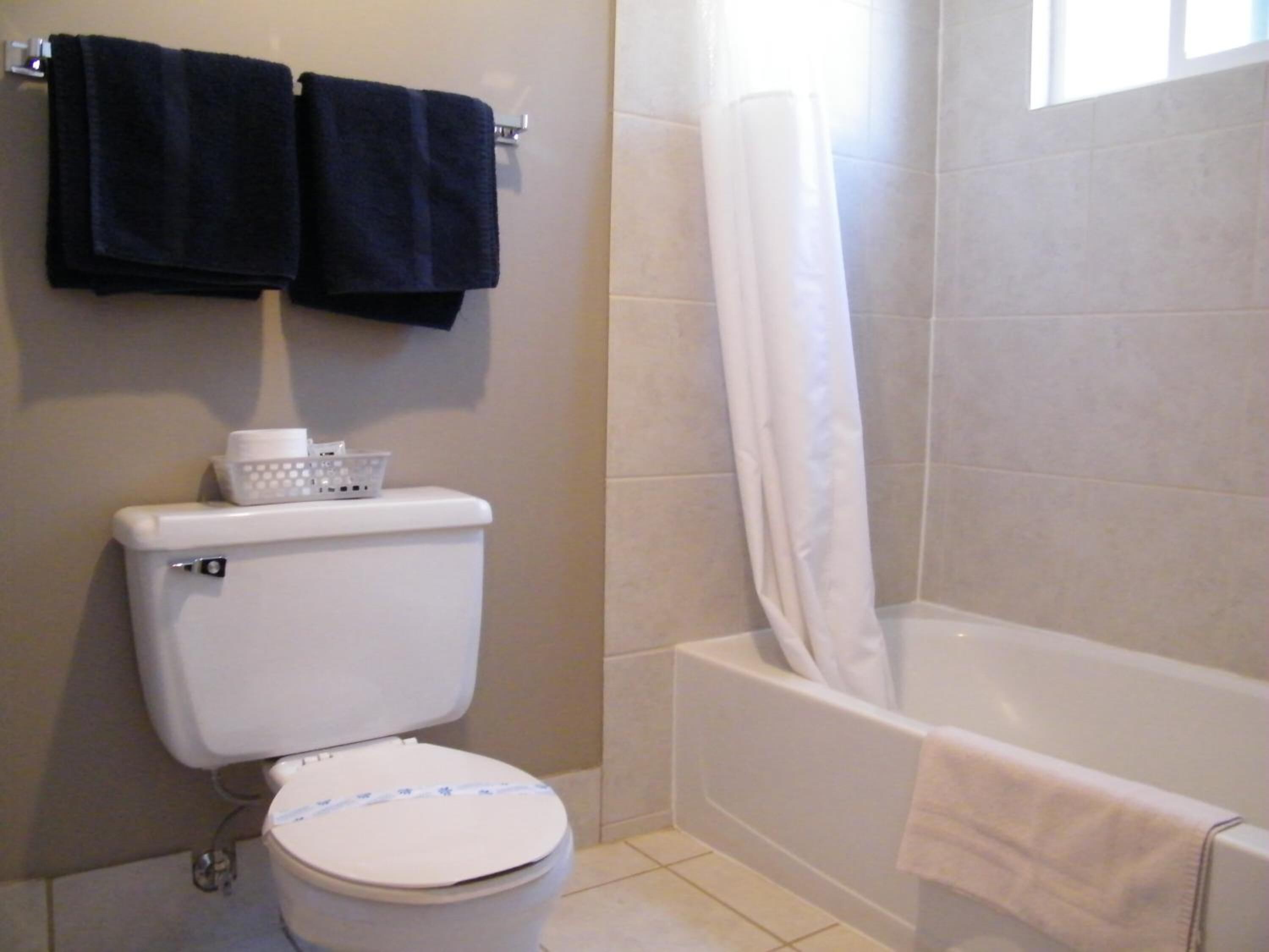 A bathroom with a toilet, a bathtub, and a shower curtain.