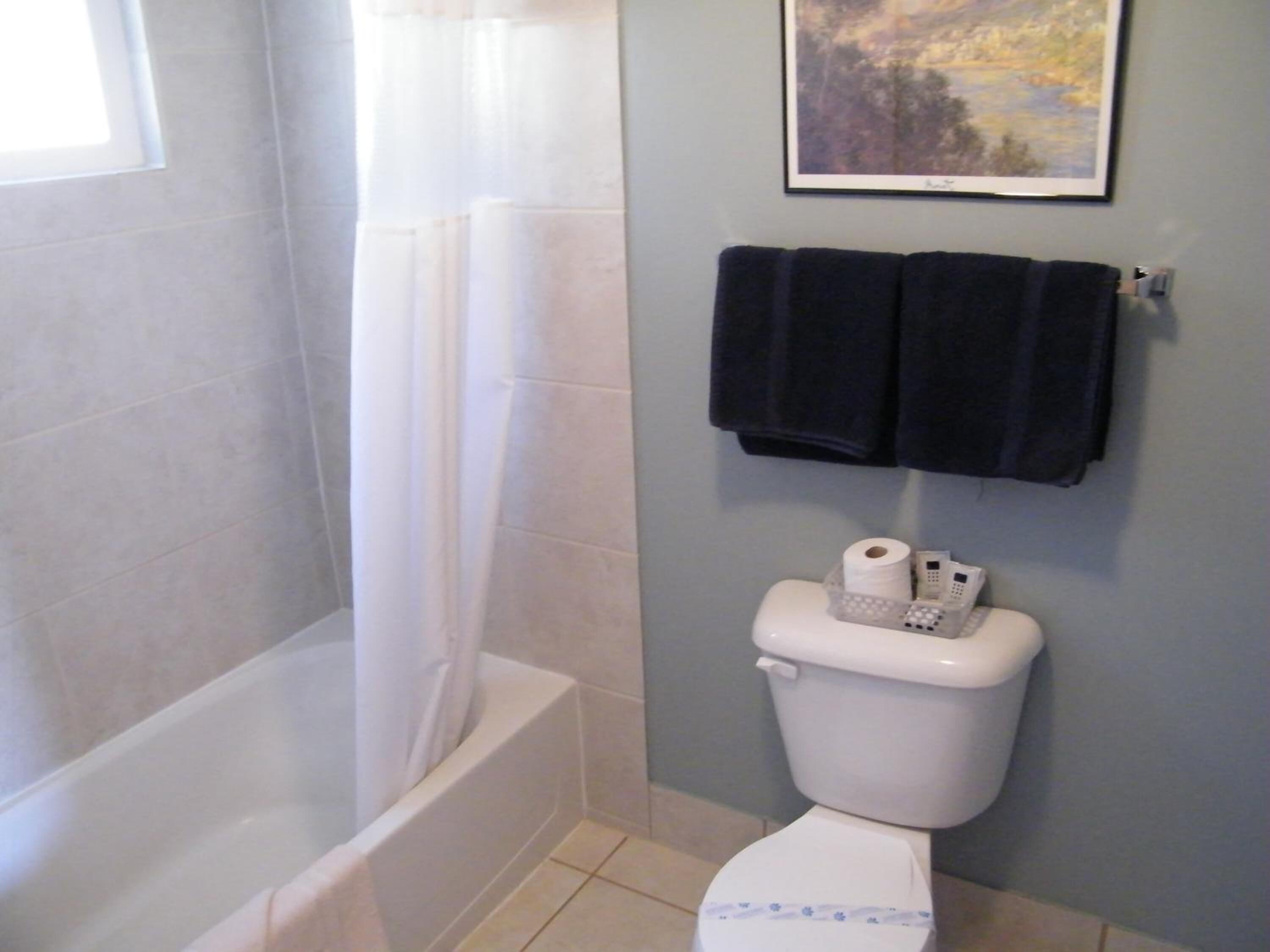 A bathroom with a bathtub, toilet, and a framed picture on the wall.