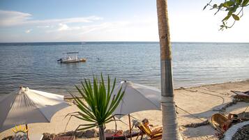 Una playa con sombrillas, sillas de descanso y una palmera.