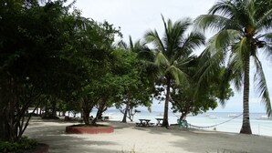 Zona de playa con palmeras, mesas de picnic y vista al océano.