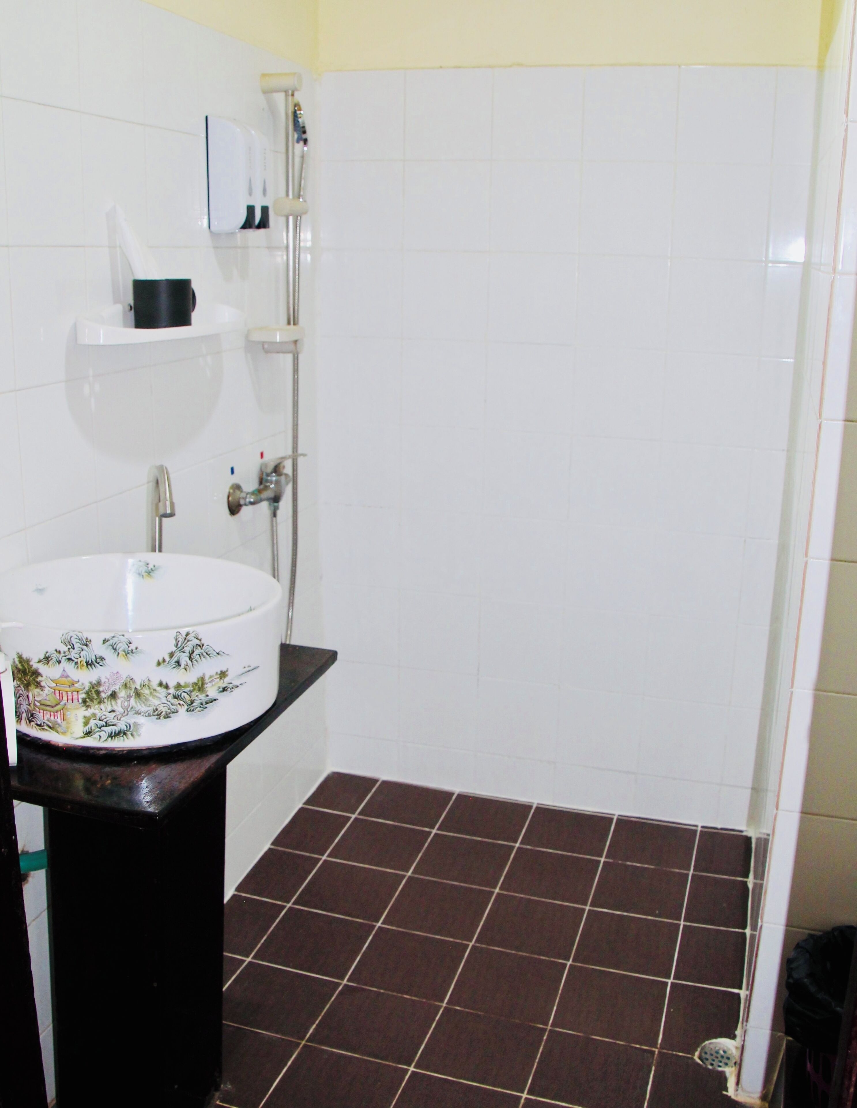 Une salle de bain avec un lavabo blanc, un miroir et une douche.