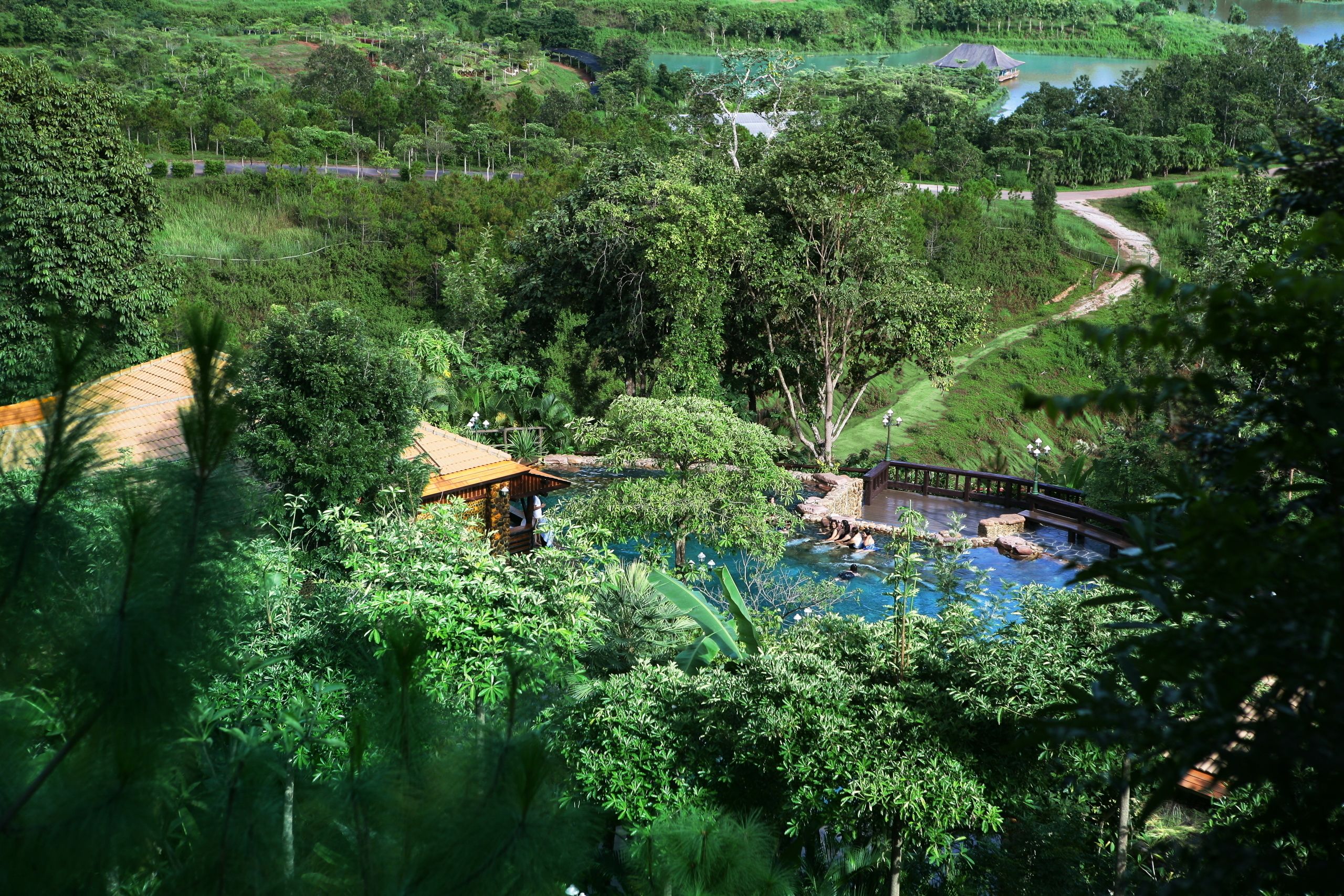 Un paisaje exuberante y verde con piscina, un puente de madera y un edificio pequeño.