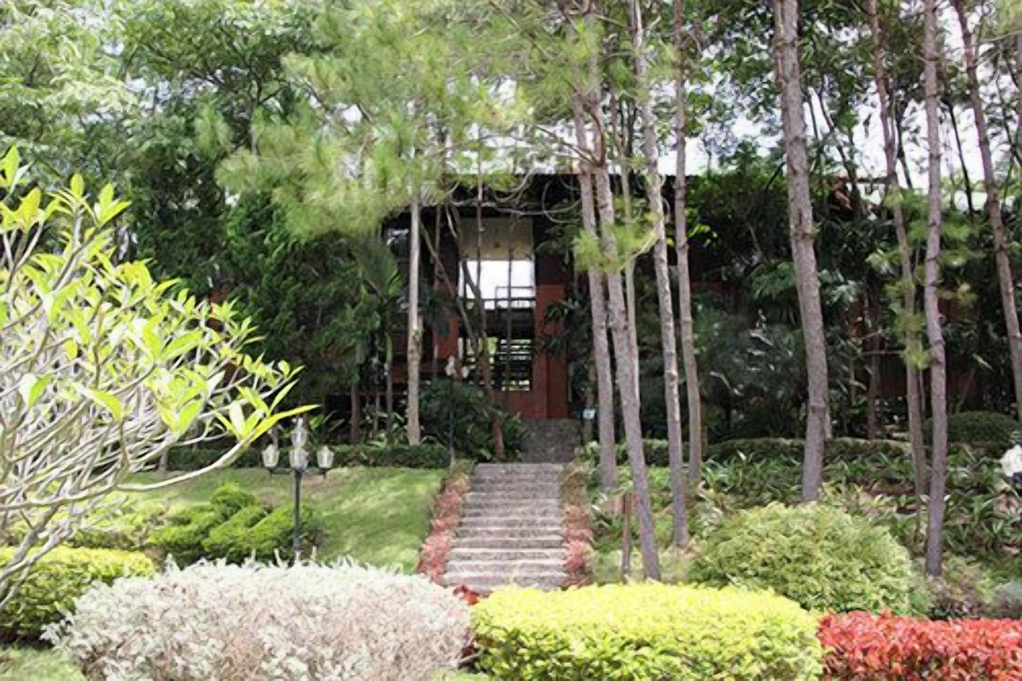 Un jardín con una escalera de piedra que lleva a un edificio de diseño tradicional.