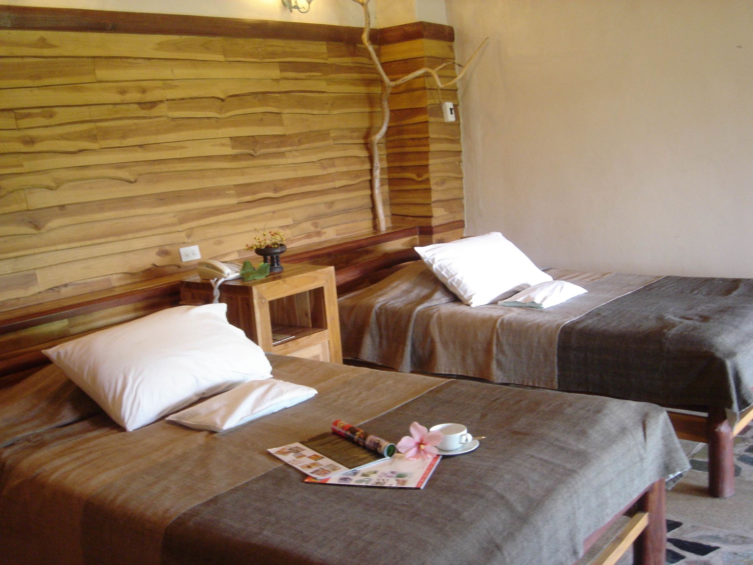 deluxe room | desk, rollaway beds