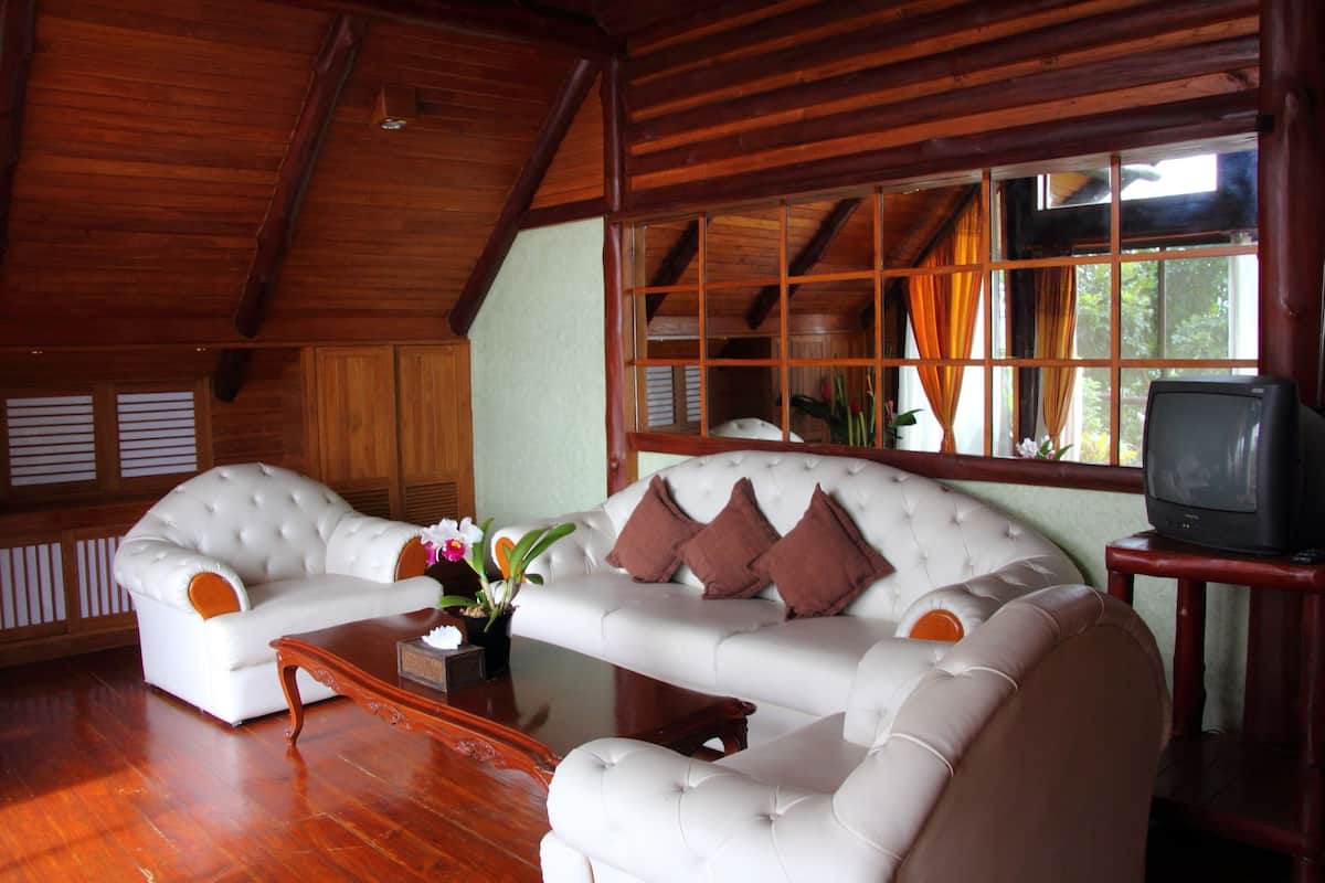 suite | living area | flat-screen tv