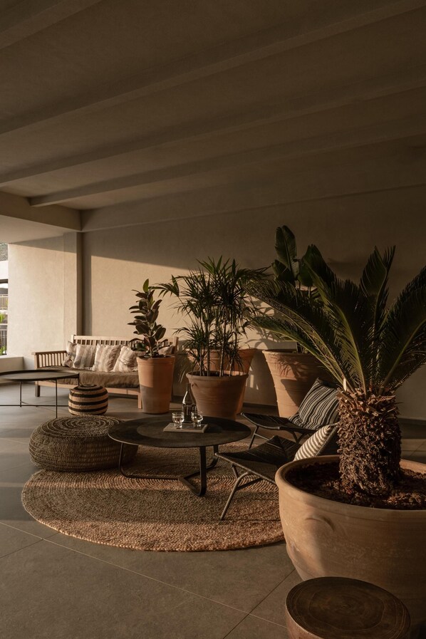 A modern living room with a sofa, coffee table, and potted plants. - Cook's Club Kolymbia - Adults only (Rhodes)