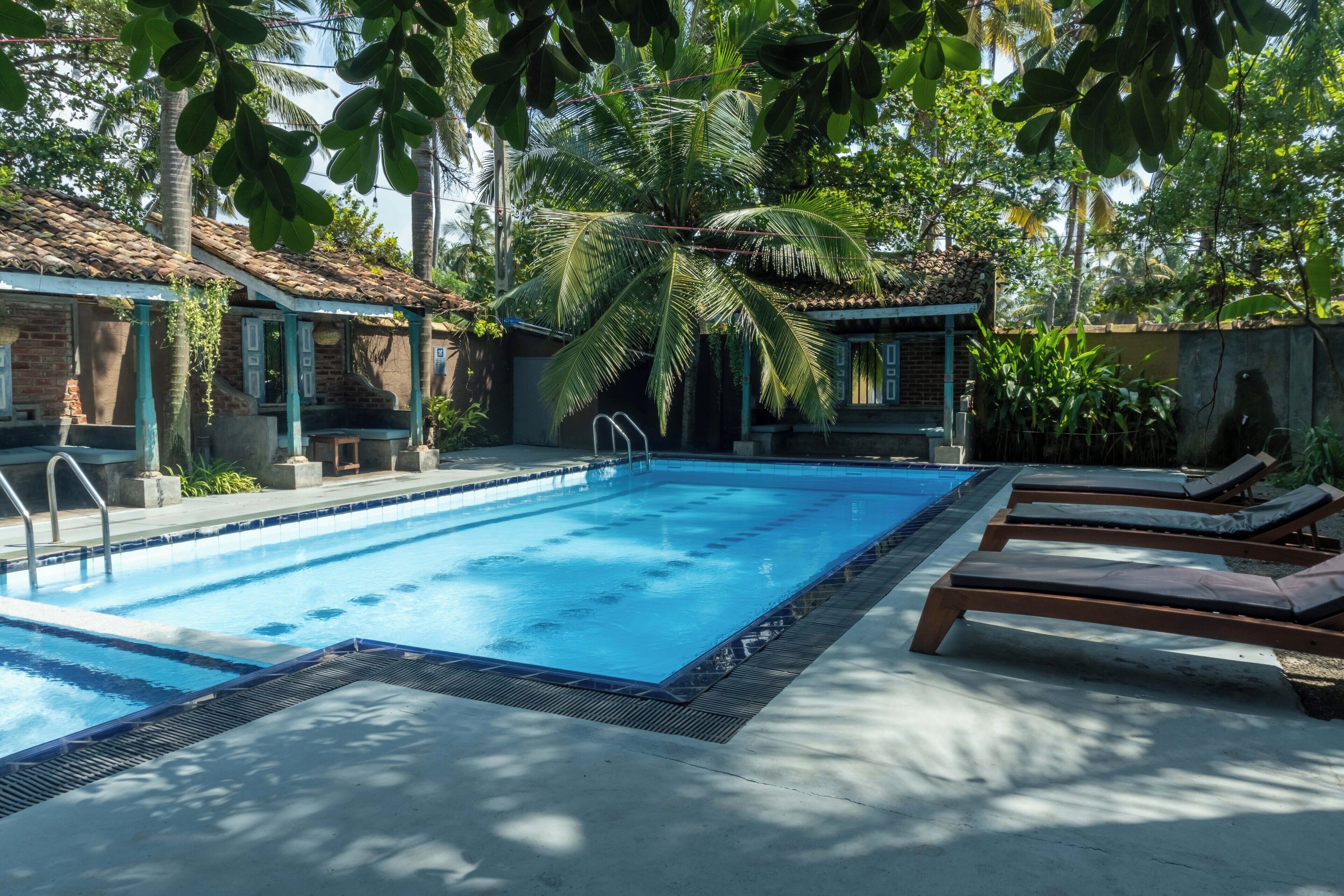 A swimming pool with lounge chairs, a palm tree, and a traditional building with a tiled roof.