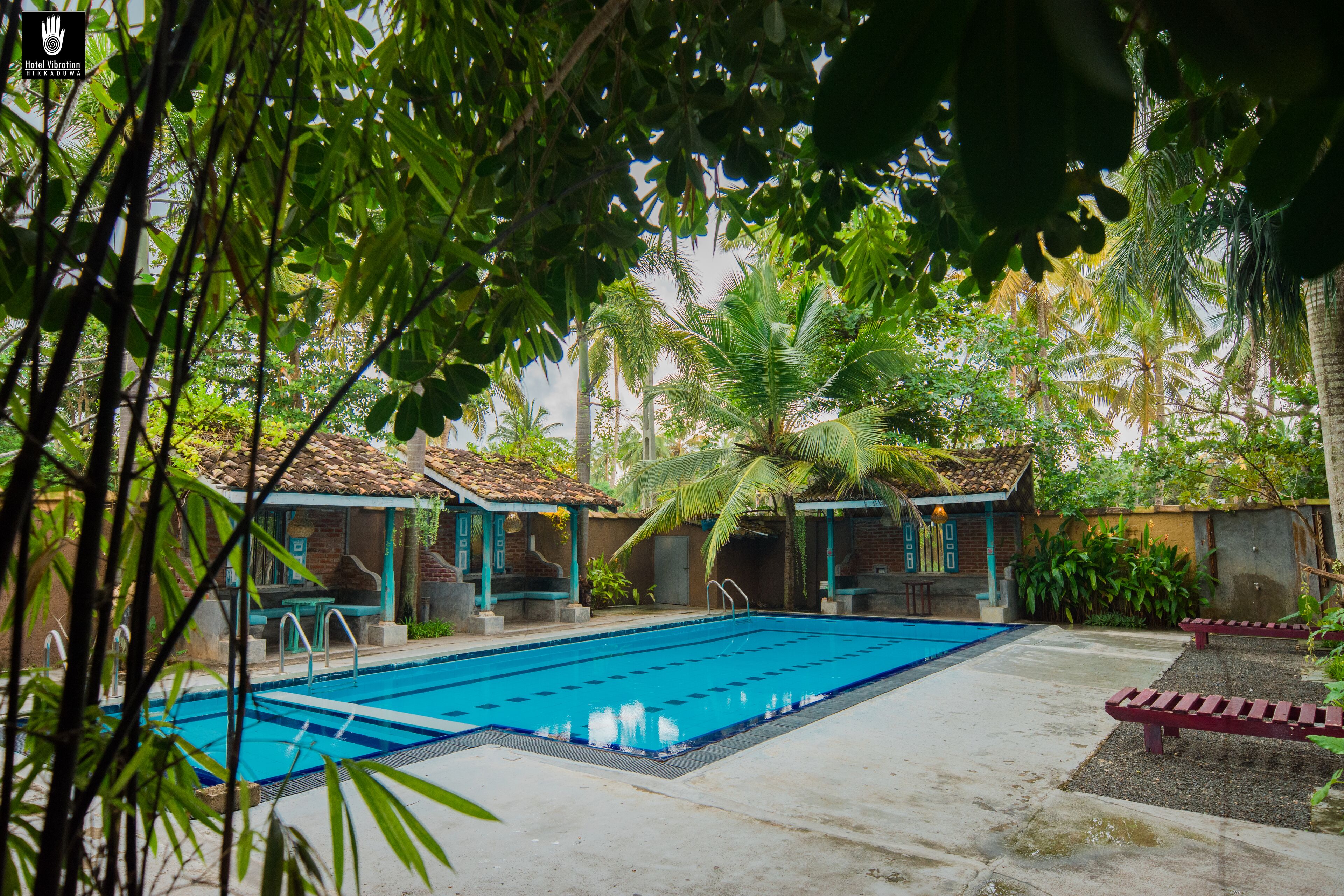 En swimmingpool med fliseterrasse, omgivet af palmer og overdækkede siddepladser.