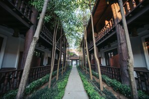 Terras