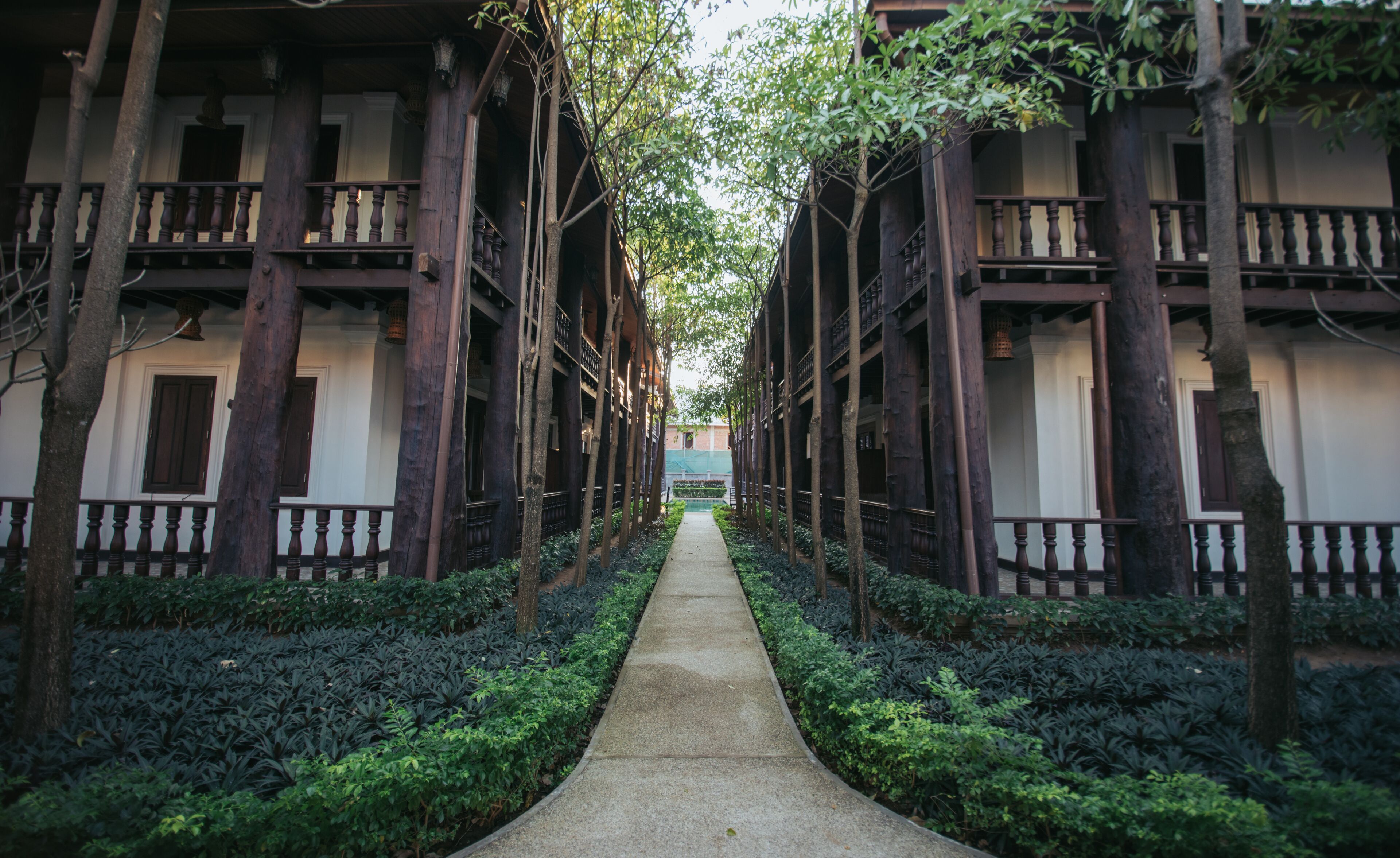 Quarto duplo luxo | Terraço/pátio