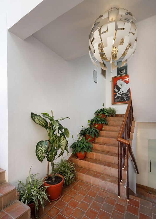 Una escalera con baldosas de terracota, rodeada de plantas en macetas y un moderno aplique.