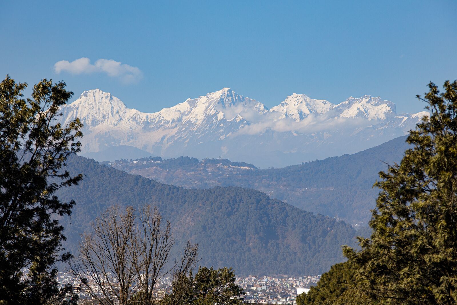 Photo - Shaligram Hotel