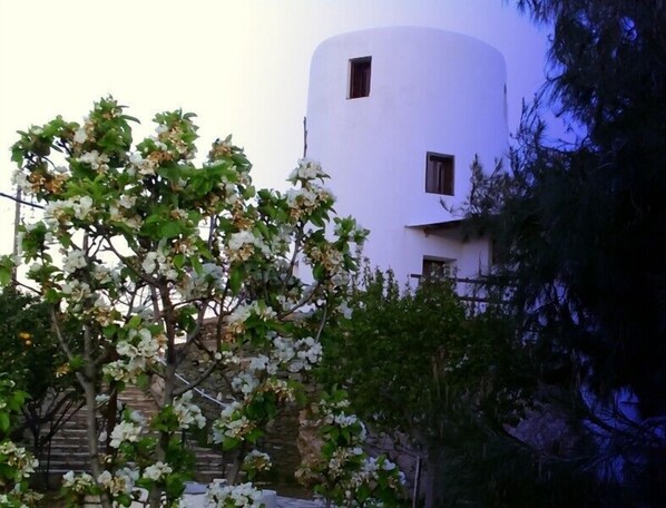 Exterior - Windmill Complex (Sifnos)