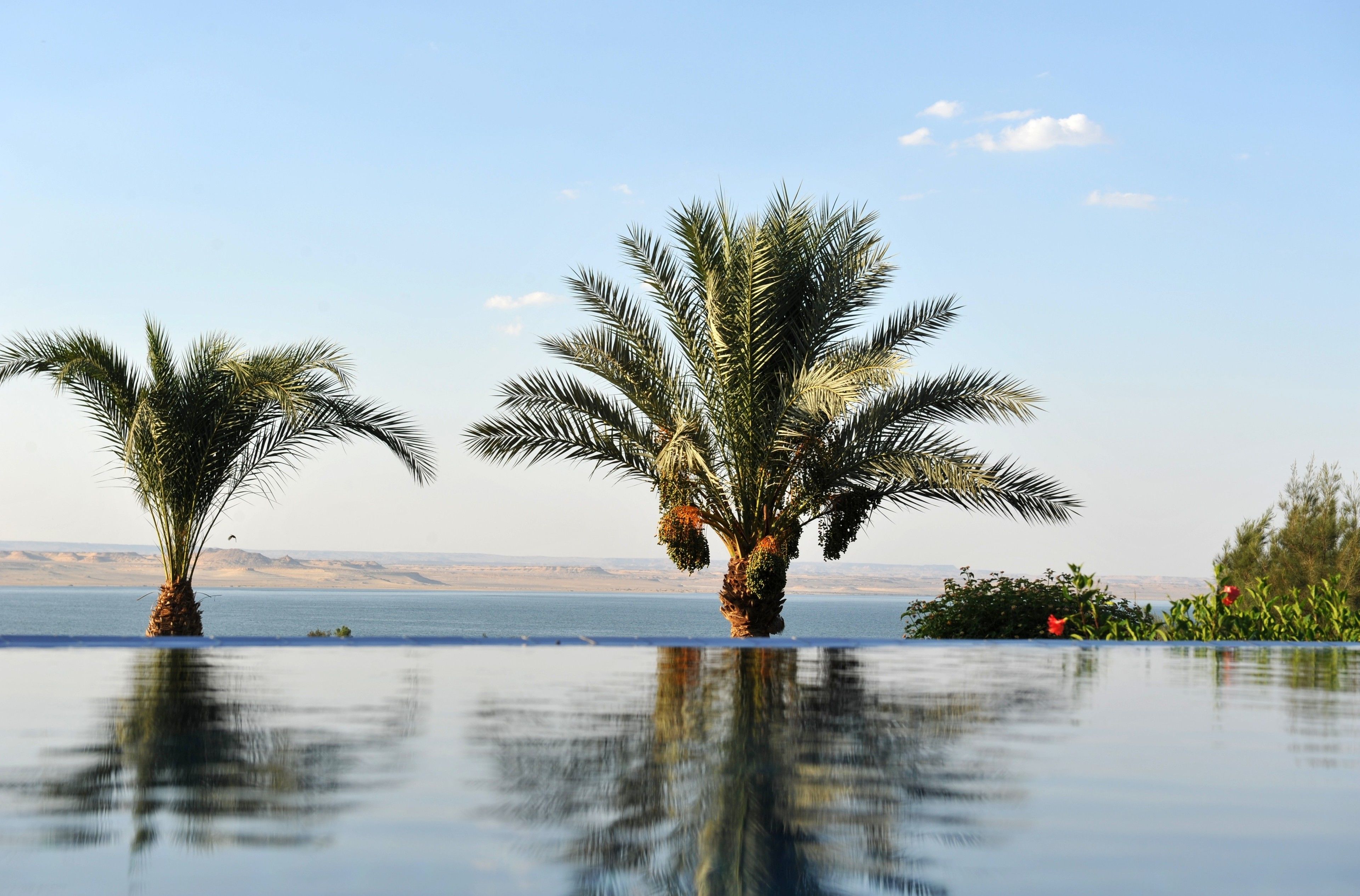 2 outdoor pools, pool umbrellas, pool loungers