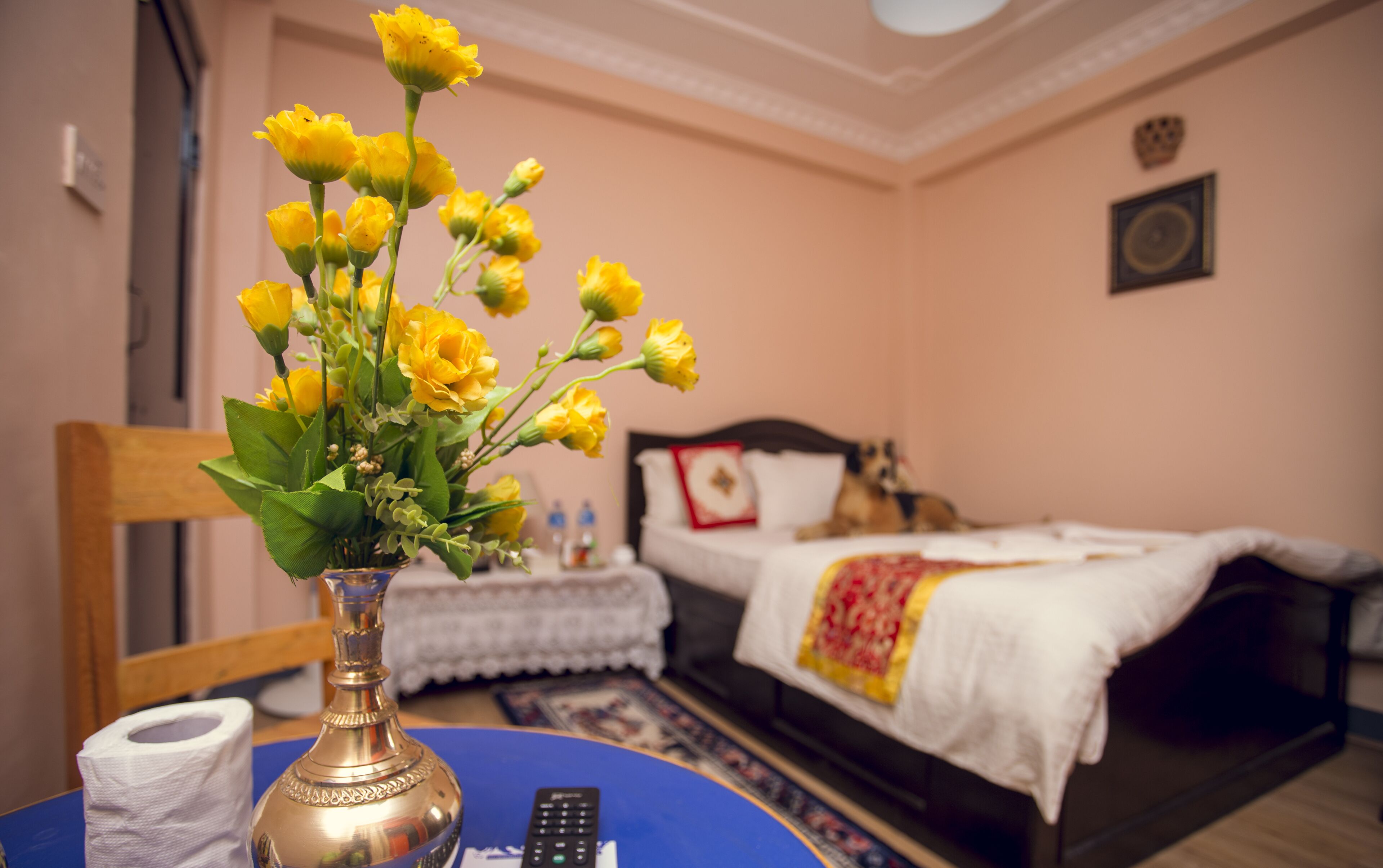 Foto - Blue Mountain Home Stay