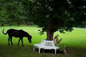 วิวจากมุมสูง